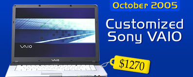Customized Sony VAIO