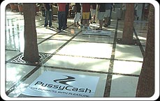 PussyCash was everywhere. You couldn�t take a step without seeing us